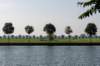 verdronkenbos_003_small.jpg