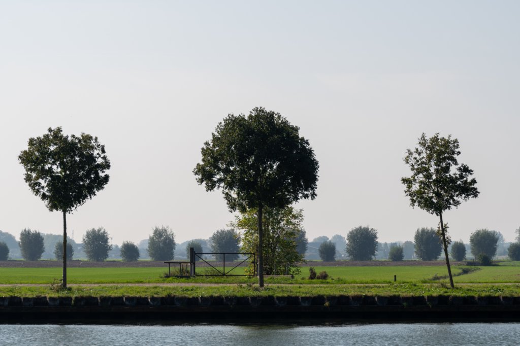 verdronkenbos_004.jpg