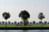 verdronkenbos_004_small.jpg