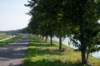 verdronkenbos_005_small.jpg