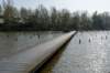 verdronkenbos_010_small.jpg