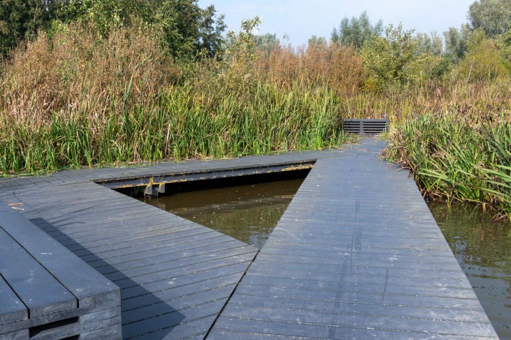 verdronkenbos_012.jpg