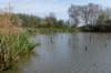 verdronkenbos_013_small.jpg