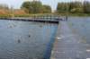 verdronkenbos_027_small.jpg