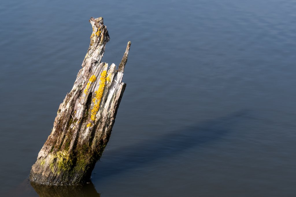 verdronkenbos_032.jpg