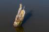 verdronkenbos_033_small.jpg