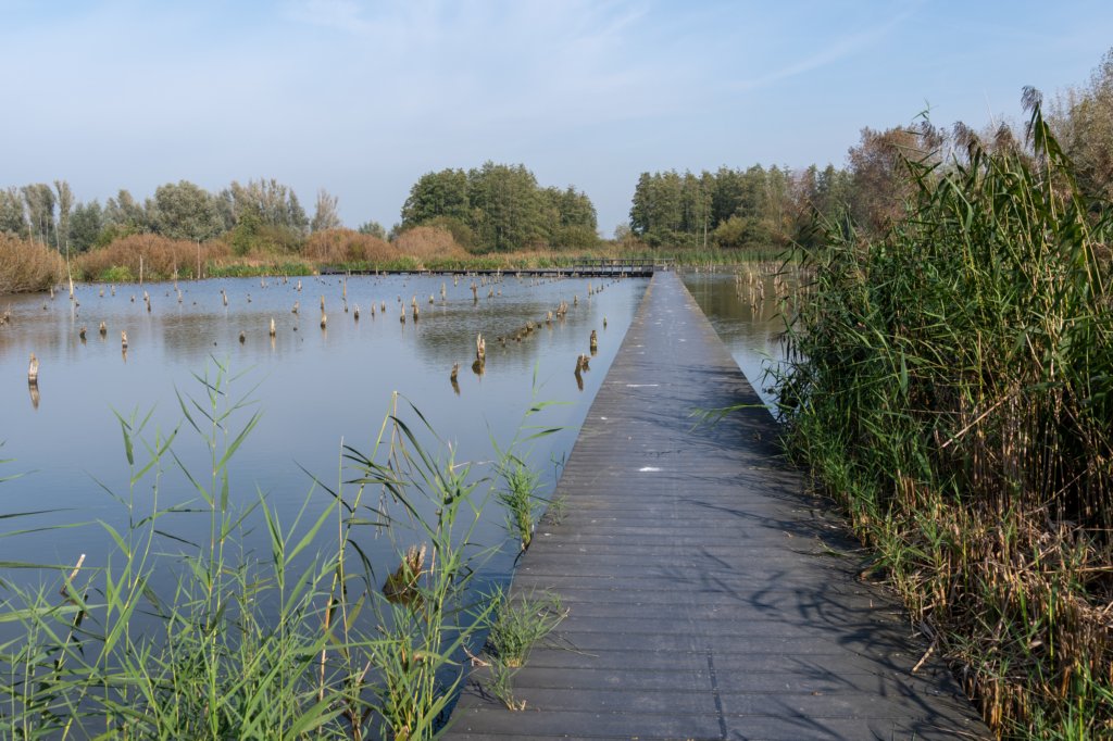 verdronkenbos_034.jpg