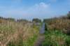verdronkenbos_037_small.jpg