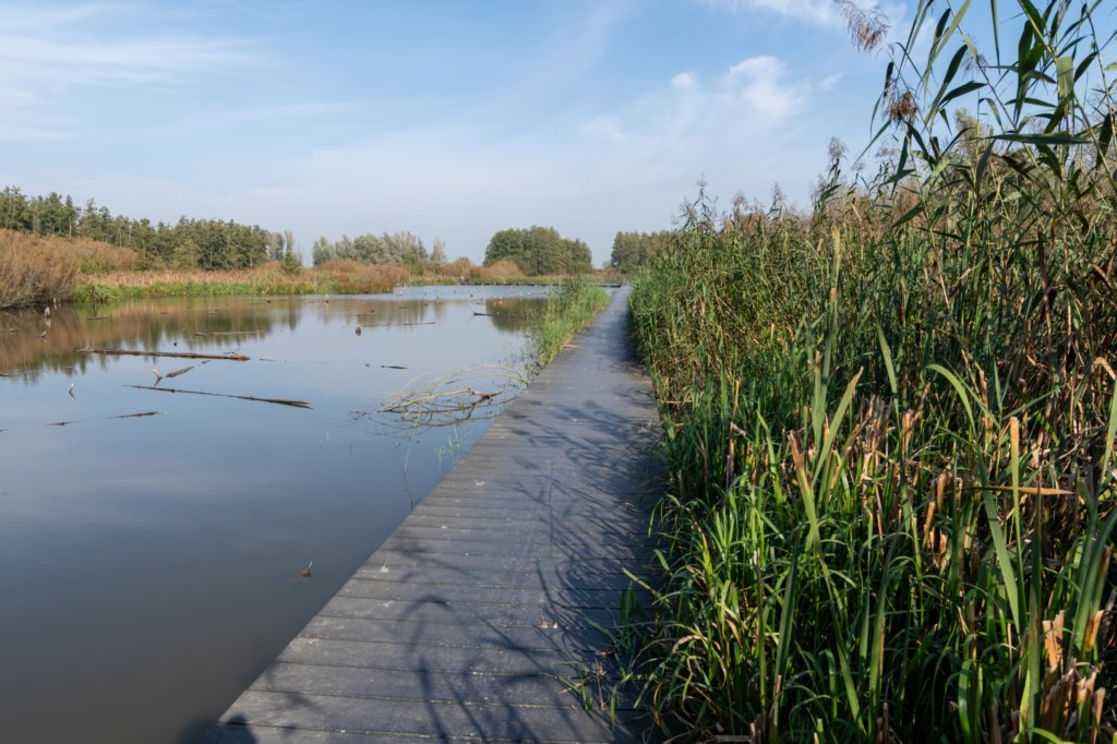 verdronkenbos_040.jpg