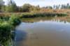 verdronkenbos_041_small.jpg