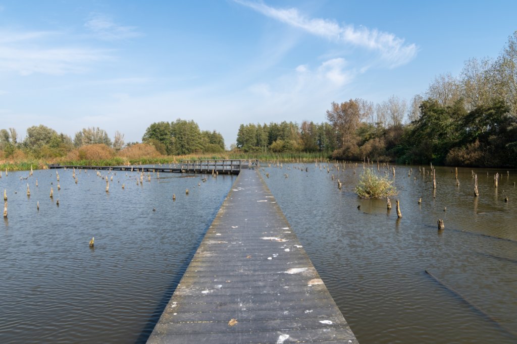verdronkenbos_044.jpg