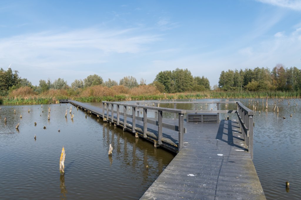 verdronkenbos_046.jpg