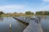 verdronkenbos_046_small.jpg