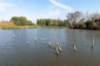 verdronkenbos_049_small.jpg