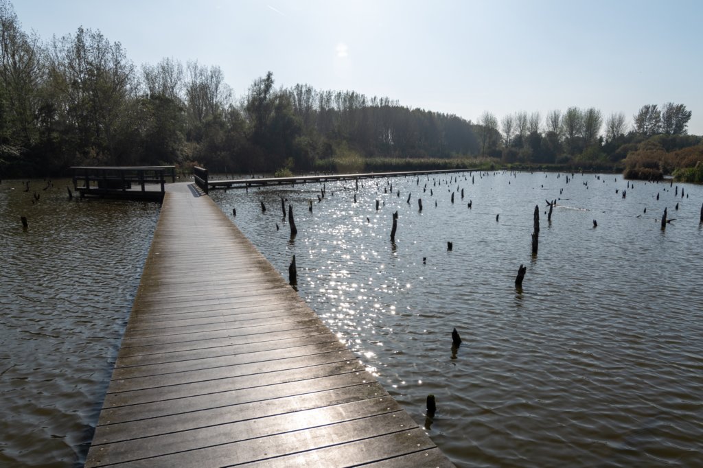 verdronkenbos_050.jpg