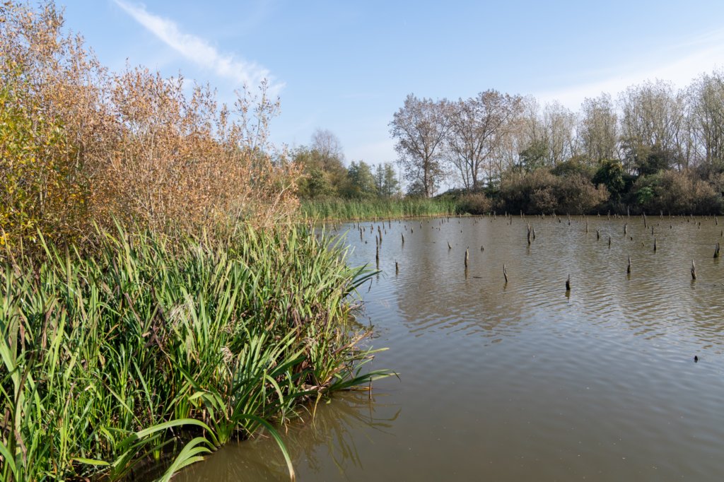 verdronkenbos_052.jpg