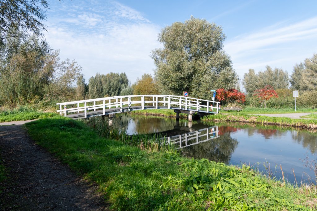 verdronkenbos_056.jpg
