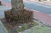 vught_005_small.jpg