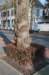 vught_006_small.jpg