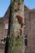 vught_008_small.jpg