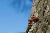 vught_010_small.jpg