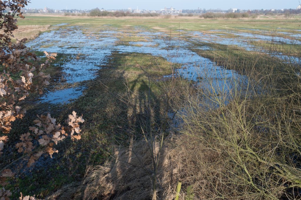 vught_015.jpg