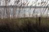 vught_022_small.jpg