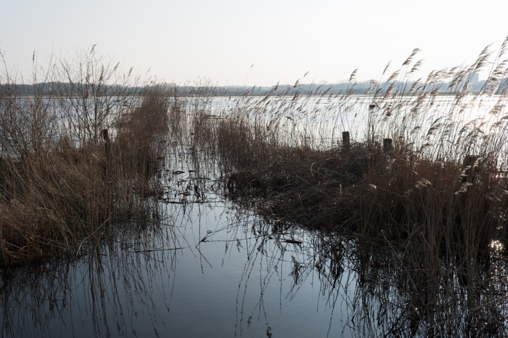 vught_023.jpg