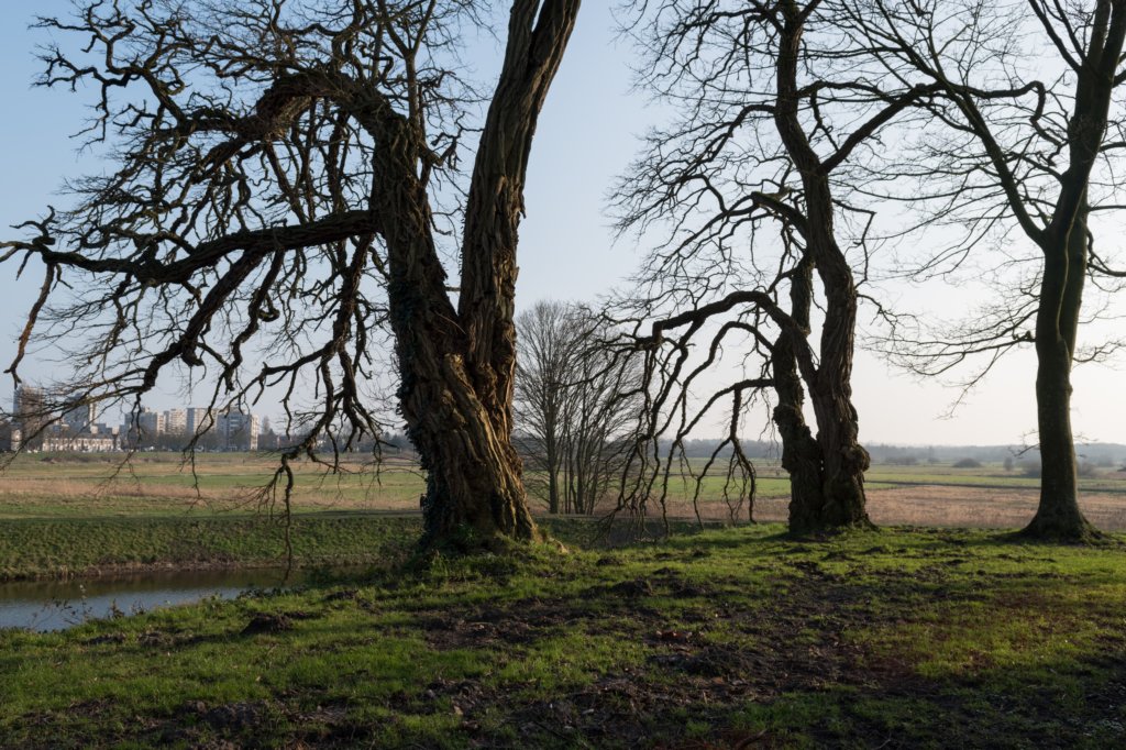 vught_032.jpg