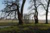 vught_032_small.jpg