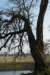 vught_033_small.jpg
