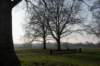 vught_043_small.jpg