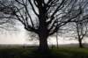 vught_044_small.jpg
