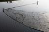 vught_051_small.jpg