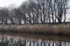 vught_060_small.jpg