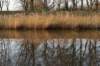 vught_061_small.jpg