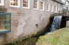 warnborn_01_small.jpg
