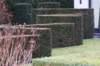 warnborn_07_small.jpg