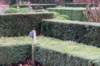 warnborn_08_small.jpg