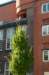 zaanstad_019_small.jpg
