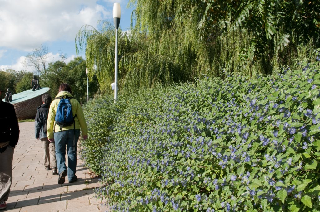 zaanstad_032.jpg