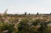 zaanstad_042_small.jpg
