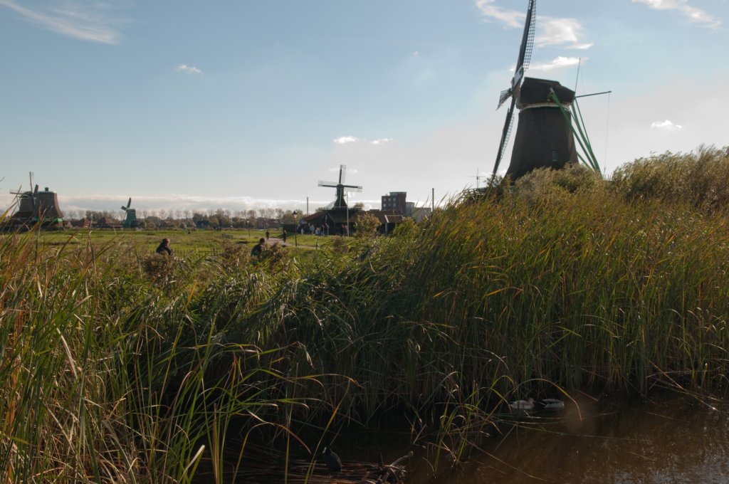 zaanstad_044.jpg
