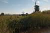 zaanstad_044_small.jpg
