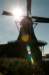 zaanstad_052_small.jpg
