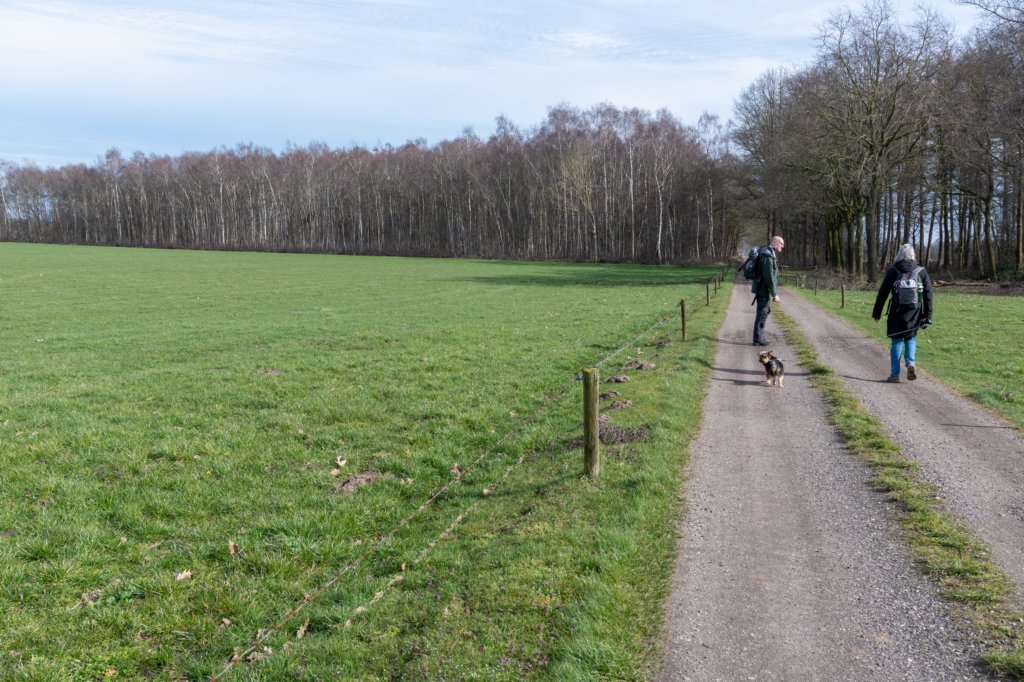 wijheheino_011.jpg
