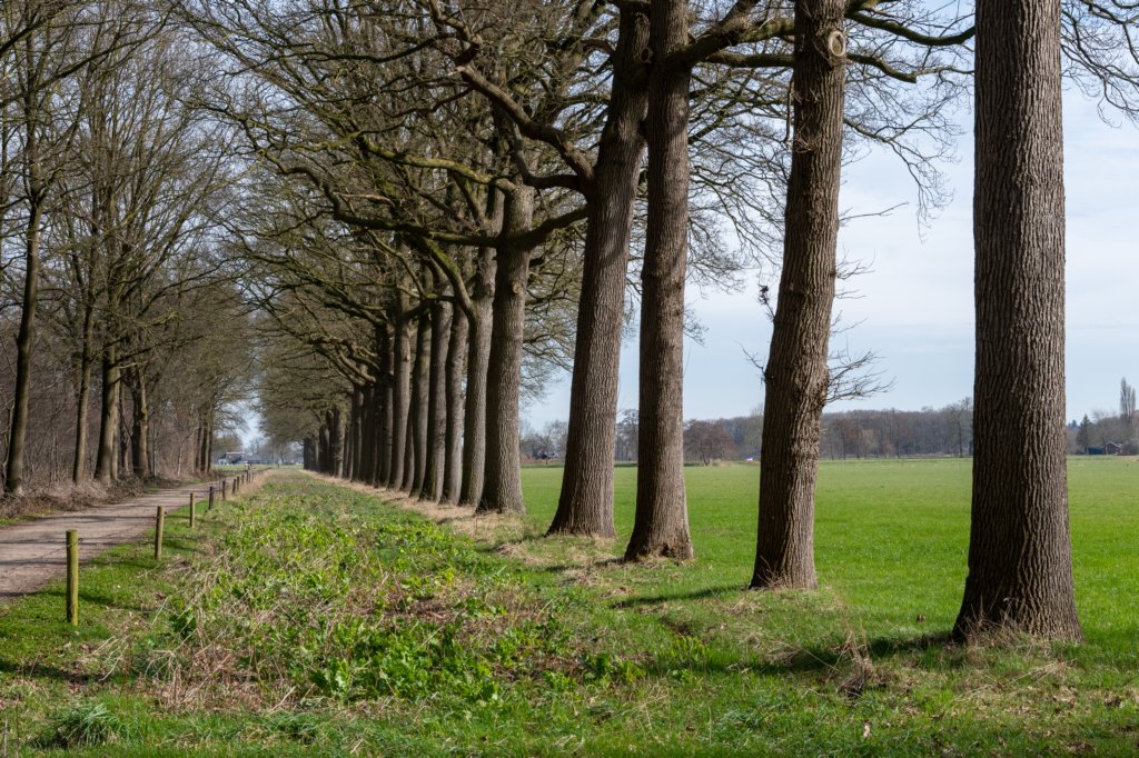 wijheheino_014.jpg