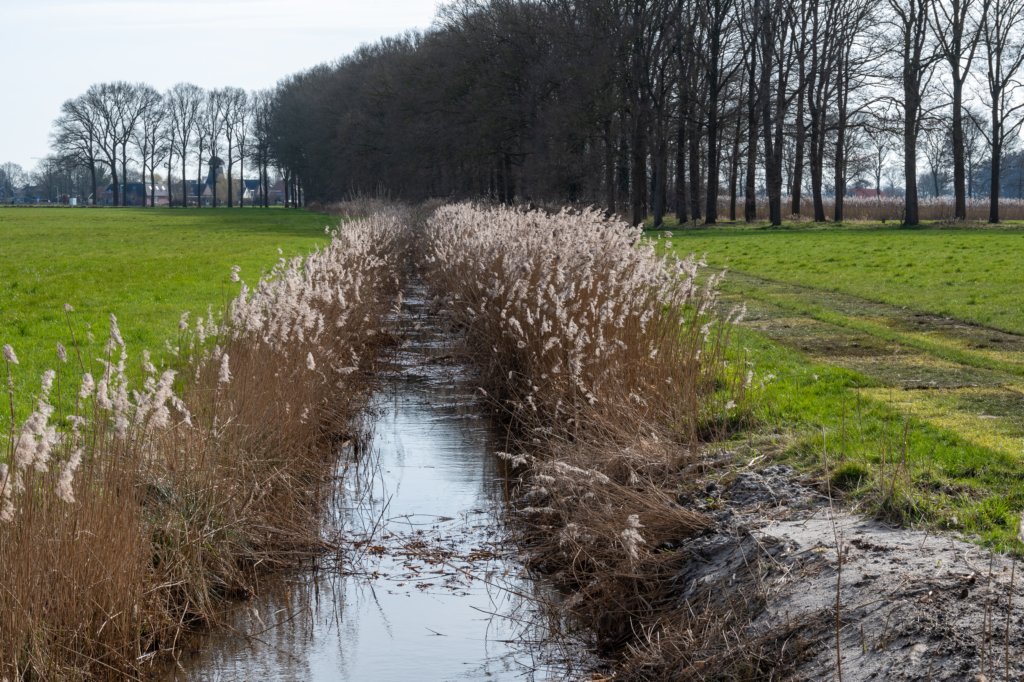 wijheheino_020.jpg