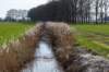 wijheheino_020_small.jpg