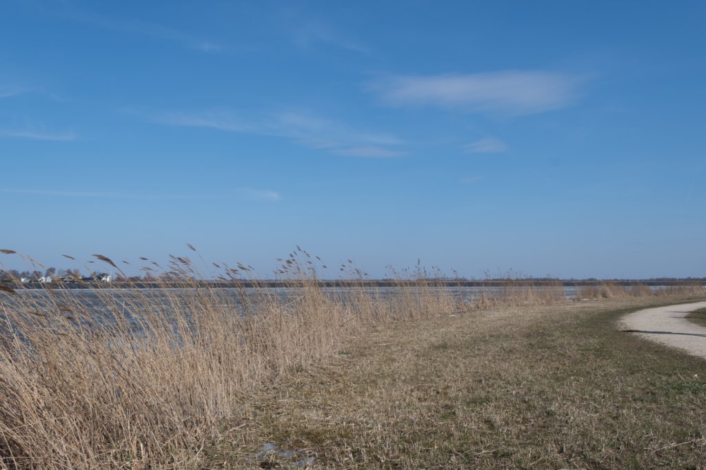 wormerveer_024.jpg